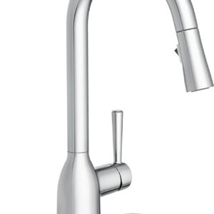 Moen kitchen faucet pull down spray